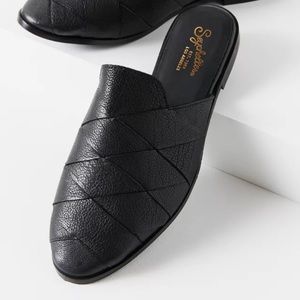 Seychelles Survival Mule